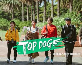 抖阴《TOP DOG》免费在线观看