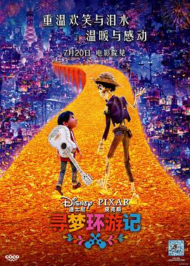 抖淫短视频《寻梦环游记》免费在线观看
