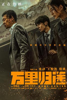 抖阴《万里归途》免费在线观看