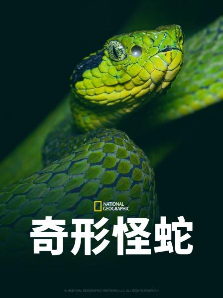 抖阴app《奇形怪蛇》免费在线观看